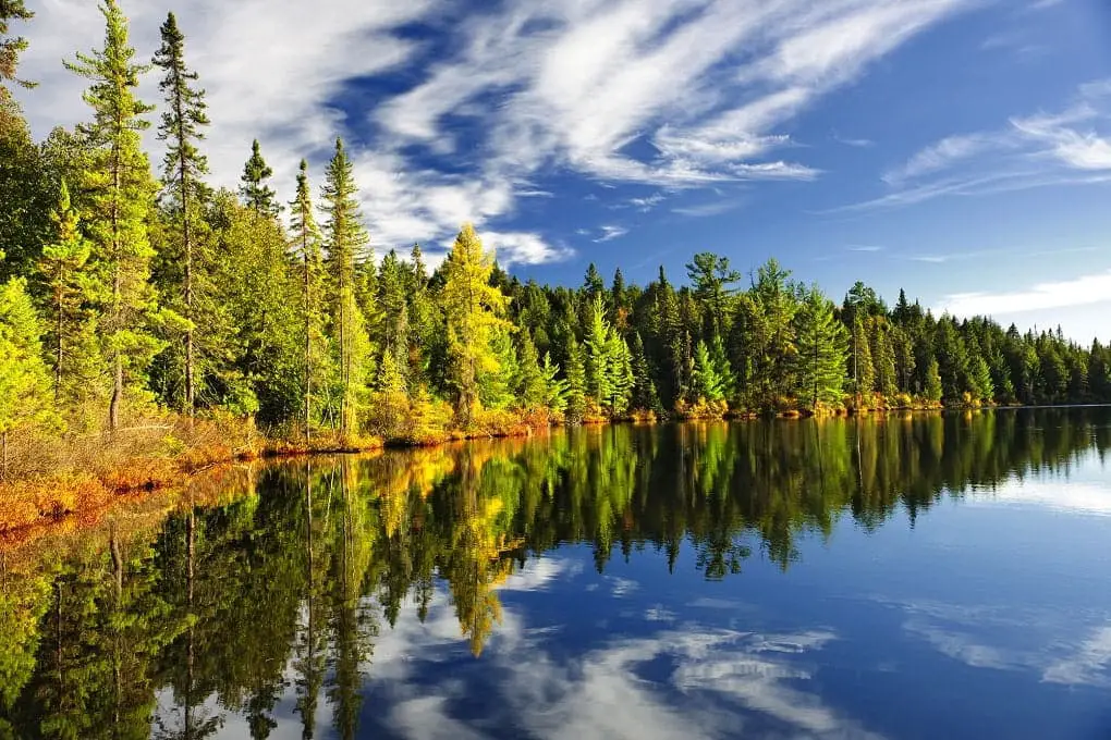 best places to live in ontario algonquin provincial park